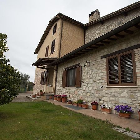 Assisana Affittacamere Santa Maria Degli Angeli  Buitenkant foto