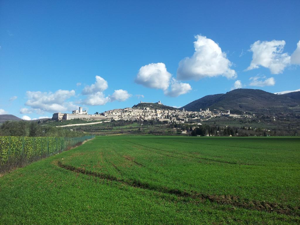 Assisana Affittacamere Santa Maria Degli Angeli  Buitenkant foto